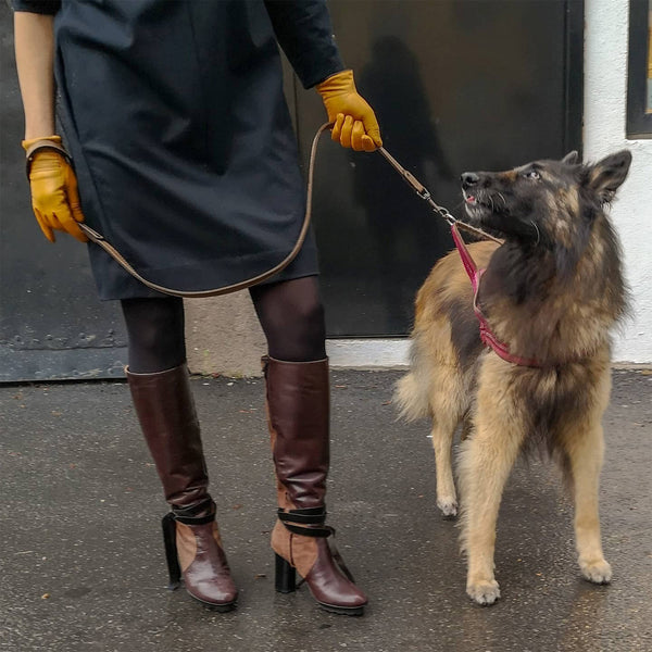 Skinnstøvletter i brunt og beige